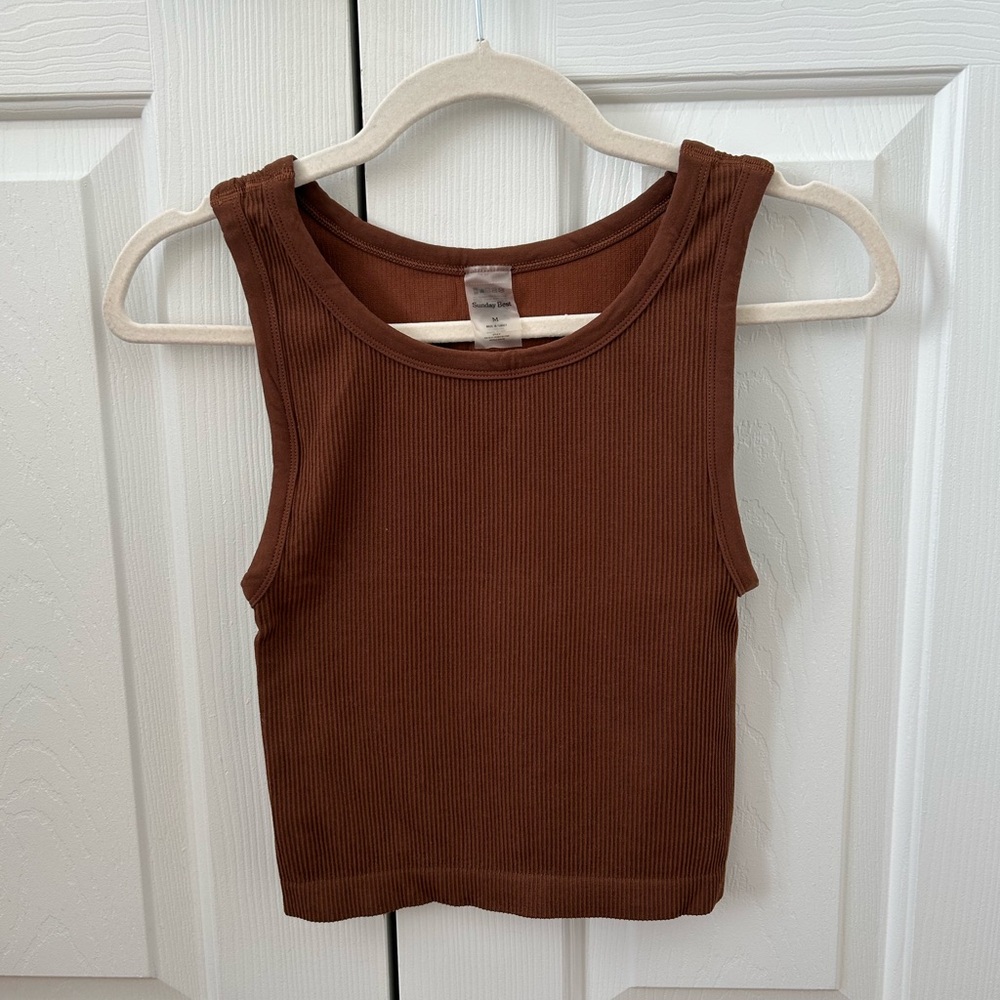 Aritzia Sunday Best Sinch Seamless Rib Crew Tank
